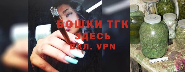 дживик Белокуриха