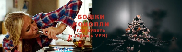 дживик Белокуриха