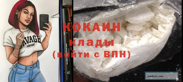 дживик Белокуриха