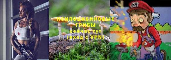 дживик Белокуриха