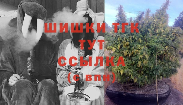 дживик Белокуриха